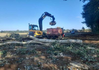 verreman services braine 49 nettoyage bois sur pied evacuation bois branches