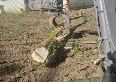 verreman services braine 52 defrichage de terrain
