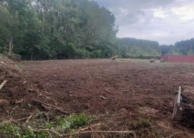 verreman services braine 53 defrichage de terrain